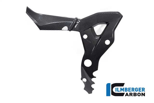 Накладка рамы, левая ILMBERGER CARBON CG.RAL.028.1XR20