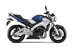 Suzuki Inazuma 250 2012-