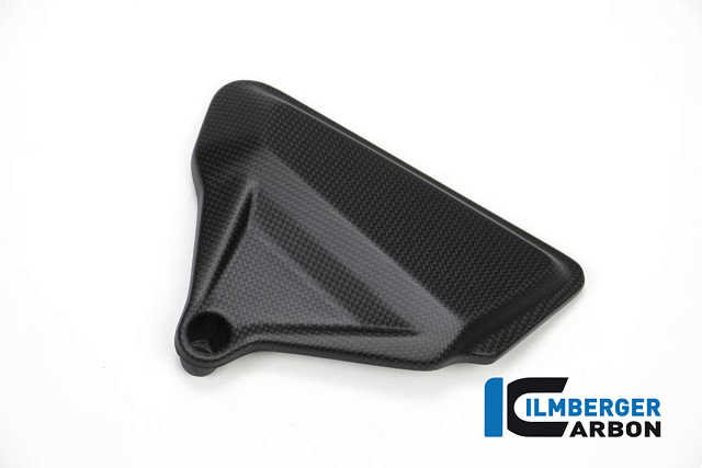 Защита рамы, правая ILMBERGER CARBON ARR.118.XD16M.K