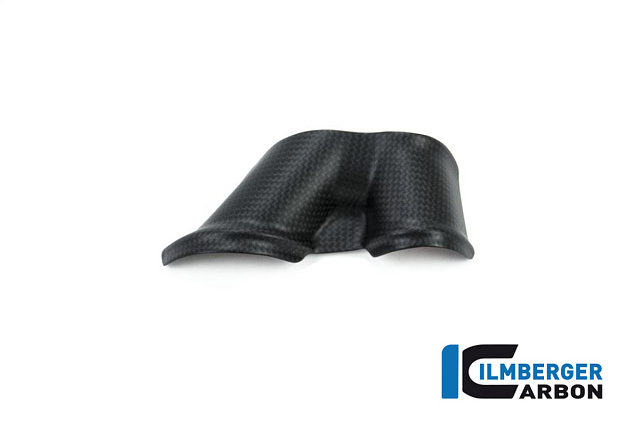 Накладка маятника ILMBERGER CARBON SSO.126.XD16M.K