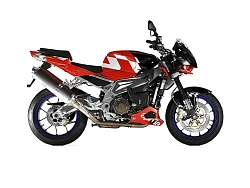 Aprilia RSV 1000 Tuono 2002-2005