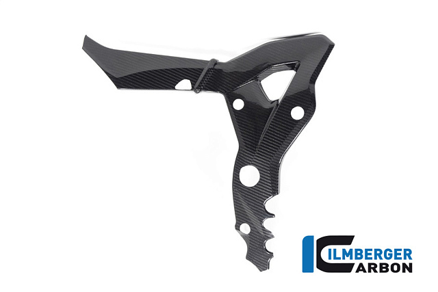 Накладка рамы, левая ILMBERGER CARBON CG.RAL.028.1XR20