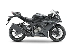 Kawasaki ZX-6R / 636 2019-