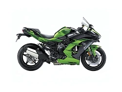 Kawasaki H2 SX / SE 2018-