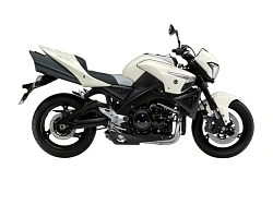 Suzuki GSXR1300R B-King 2007-2012