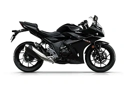 Suzuki GSXR / GSXS250 2017-